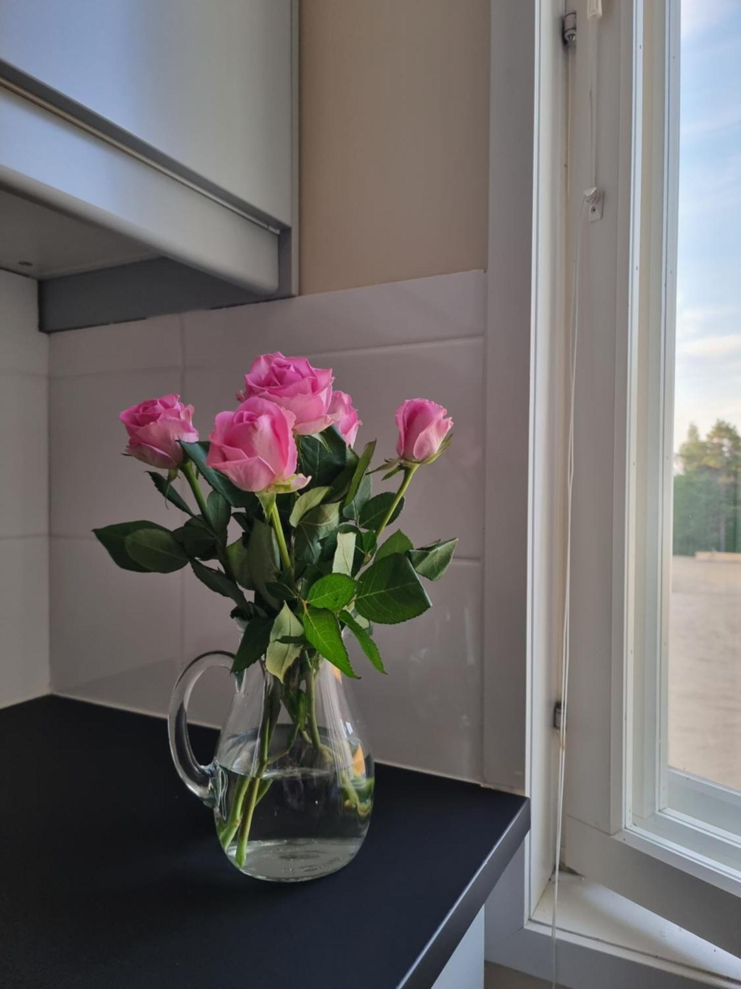 Kuukkeli Ivalo Airport Inn Экстерьер фото
